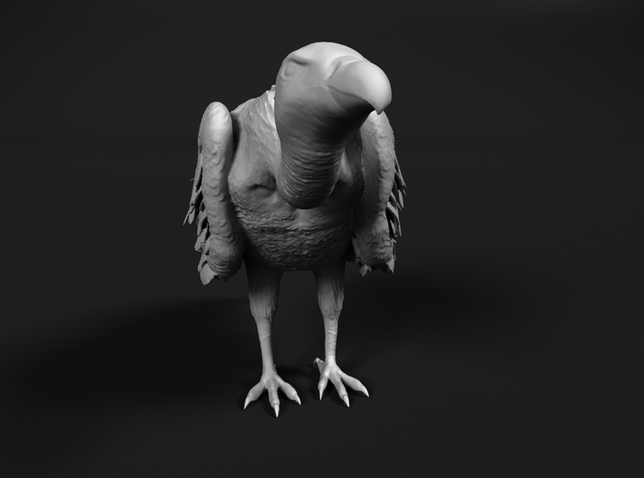White-Backed Vulture 1:16 Standing 1 3d printed 
