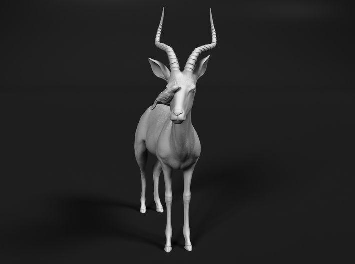 Impala 1:64 Male with Red-Billed Oxpecker 3d printed