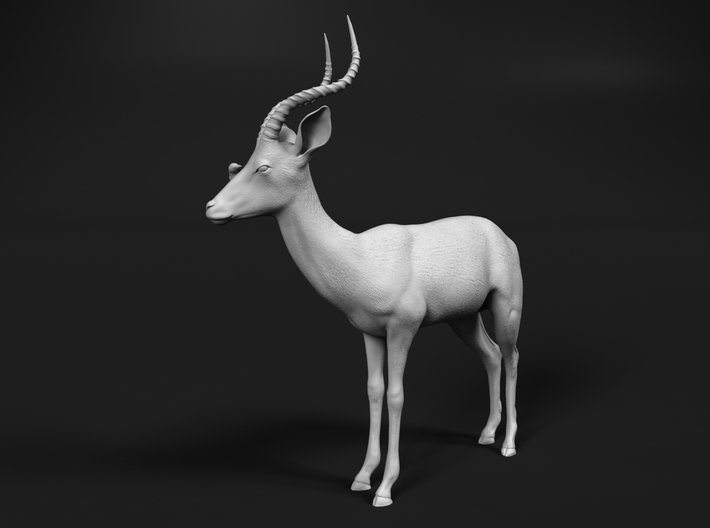 Impala 1:32 Male with Red-Billed Oxpecker 3d printed 