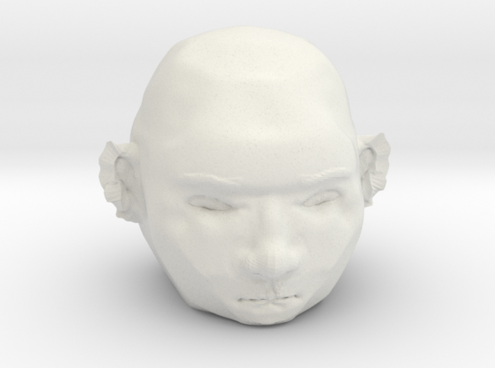 BOB The 3D Printed Face 3d printed