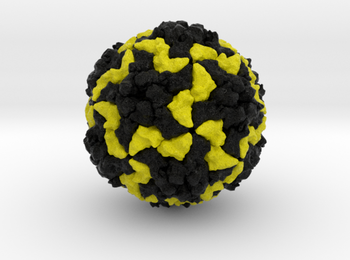 Slow Bee Paralysis Virus 3d printed