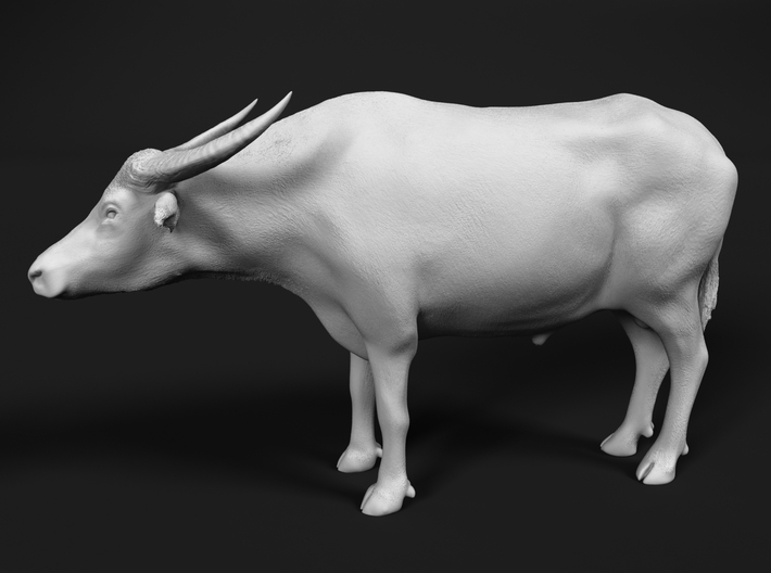 Domestic Asian Water Buffalo 1:87 Standing Male 3d printed 