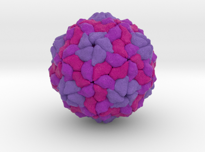 Human Parechovirus 3d printed