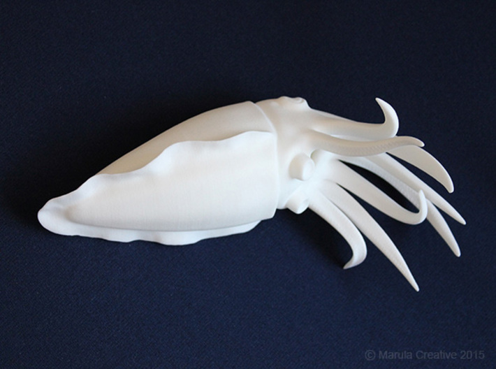 Cuttlefish Statue 3d printed White Strong & Flexible Polished