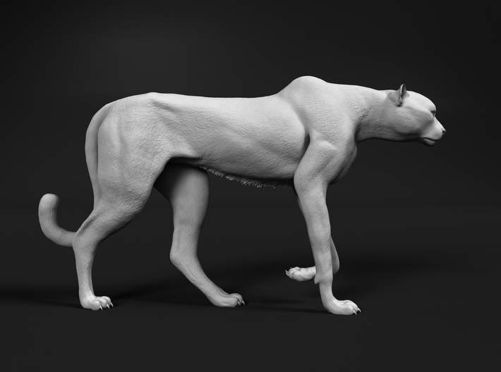 miniNature's 3D printing animals - Update May 20: Finally Hyenas and more - Page 4 710x528_20423258_11702999_1506379069