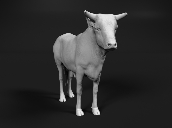 ABBI 1:16 Yearling Bull 1 3d printed