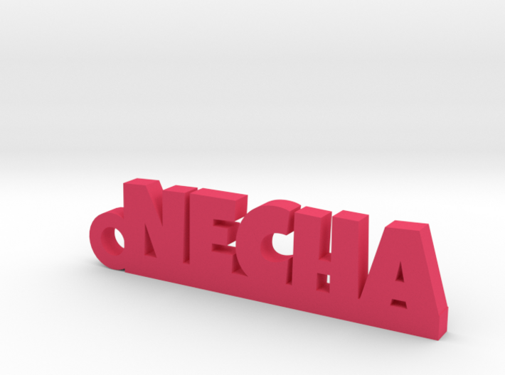 NECHA_keychain_Lucky 3d printed