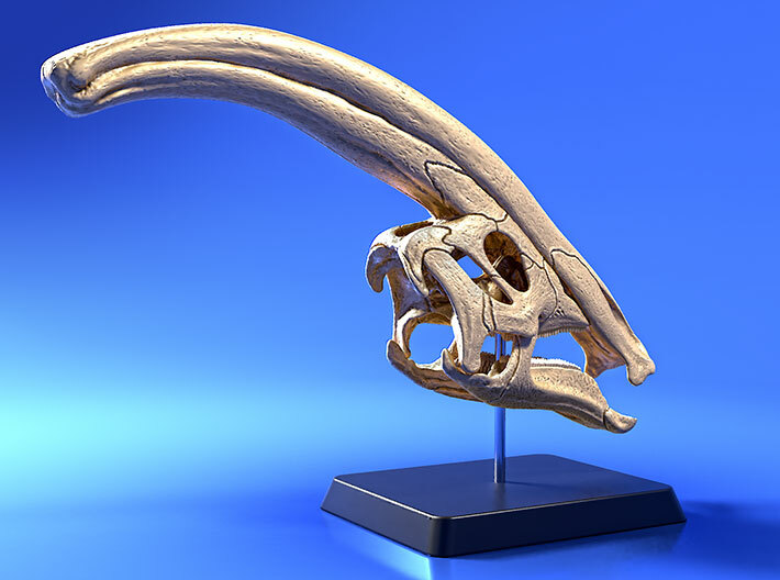 Parasaurolophus - dinosaur skull replica 3d printed 3D render