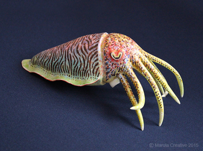 Cuttlefish Statue 3d printed Hand Painted White Strong & Flexible Polished
