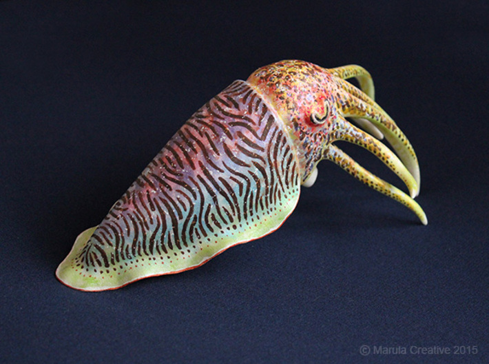Cuttlefish Statue 3d printed Hand Painted White Strong & Flexible Polished