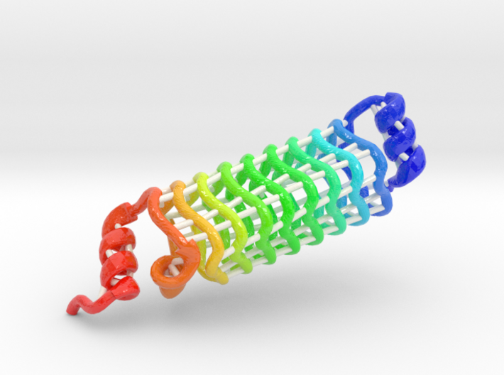 β1-Solenoid Protein 3d printed