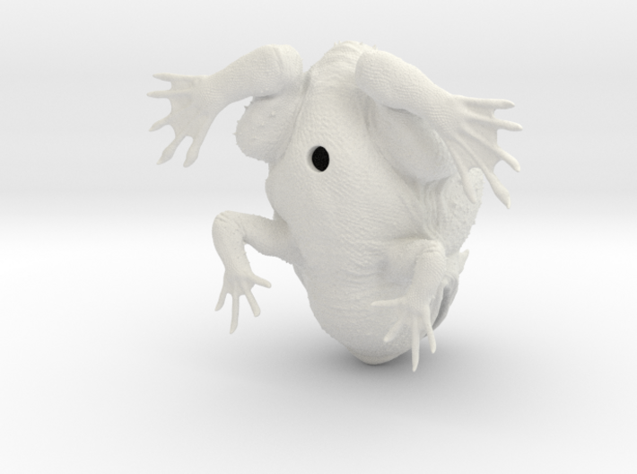 Beelzebufo (small size / middle size-color) 3d printed