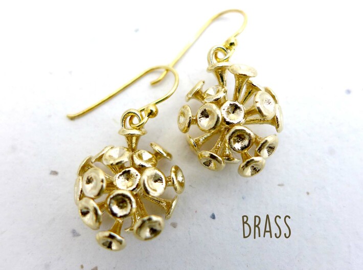 Discosphaera Coccolithophore earrings 3d printed Discosphaera earrings in raw brass