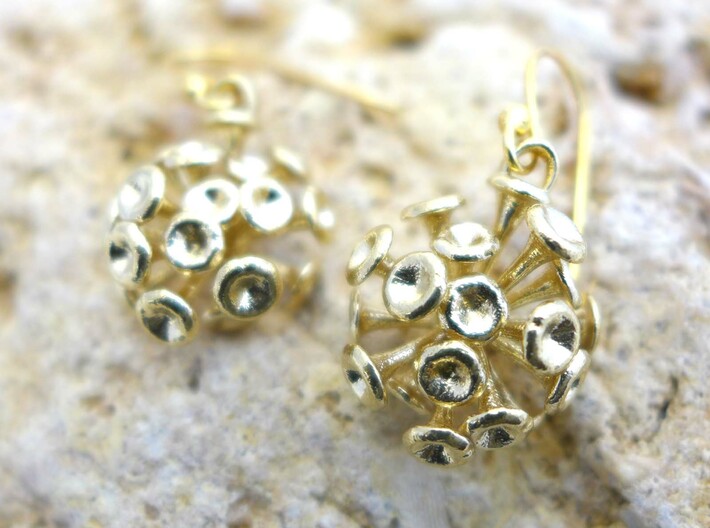 Discosphaera Coccolithophore earrings 3d printed Discosphaera earrings in raw brass
