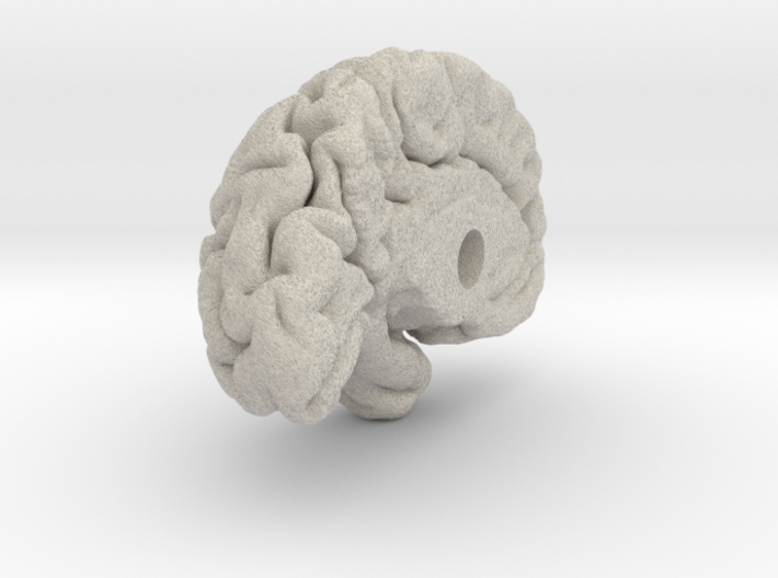Left Brain Hemisphere 1/1 3d printed