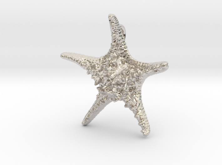 Knobby Starfish Pendant 3d printed