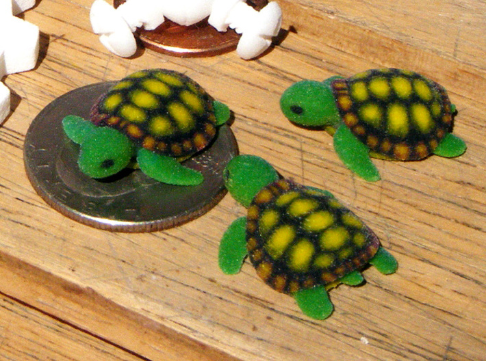 Little Turtle (3 pieces bundle) 3d printed