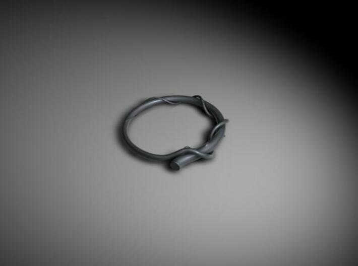 Banch Ring 3d printed The first image of the ring. Made in 2004