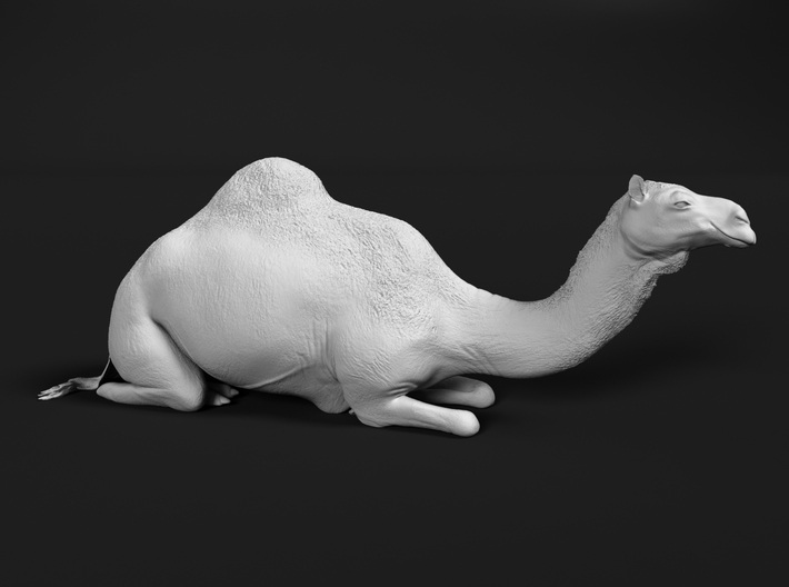 miniNature's 3D printing animals - Update May 20: Finally Hyenas and more - Page 5 710x528_21403262_12088386_1512510208