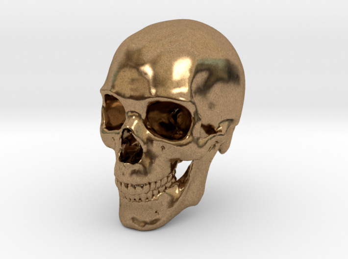 Human Skull 1:6 3d printed