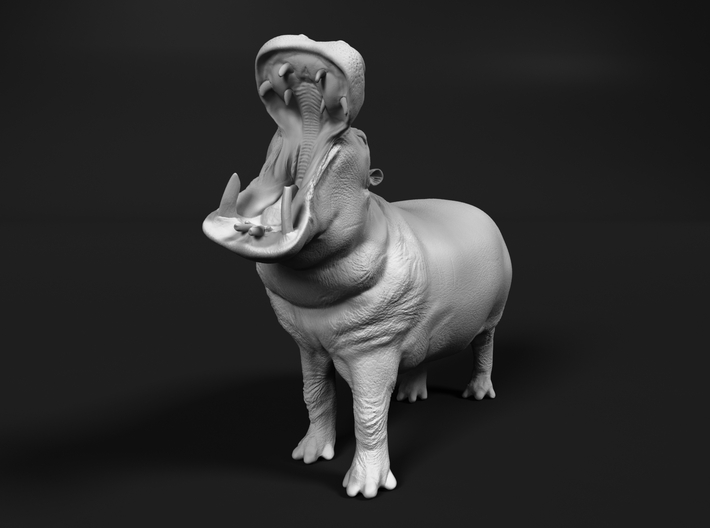 Hippopotamus 1:72 Male with Open Mouth 3d printed 