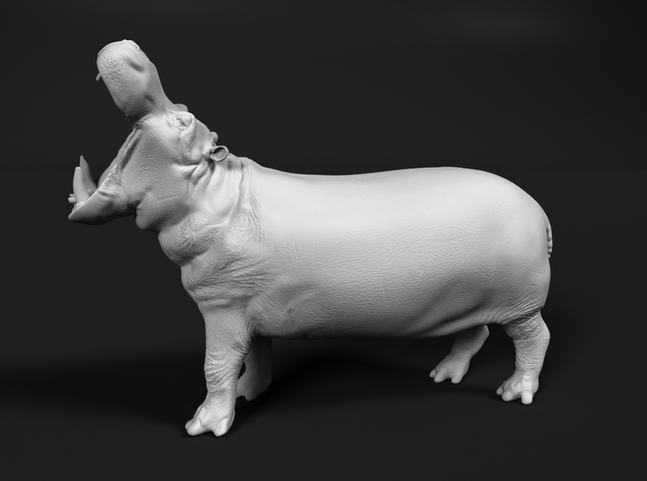 Hippopotamus 1:160 Male with Open Mouth 3d printed