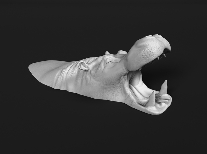 Hippopotamus 1:160 Mouth Open in Water 2 3d printed