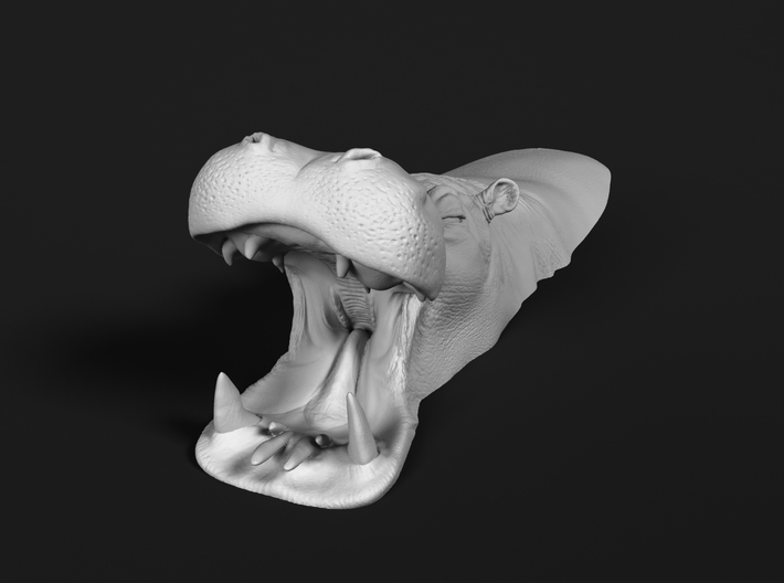 Hippopotamus 1:87 Mouth Open in Water 2 3d printed 