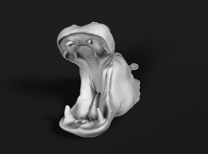 Hippopotamus 1:32 Mouth Open in Water 1 3d printed