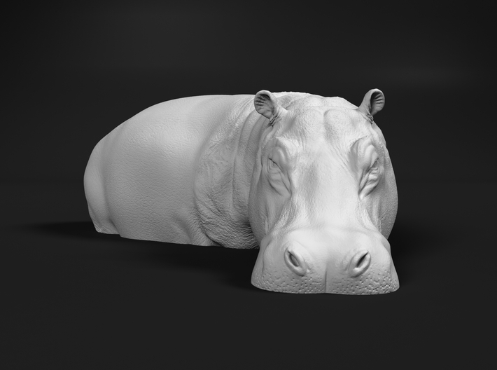 Hippopotamus 1:45 Standing in Water 3d printed