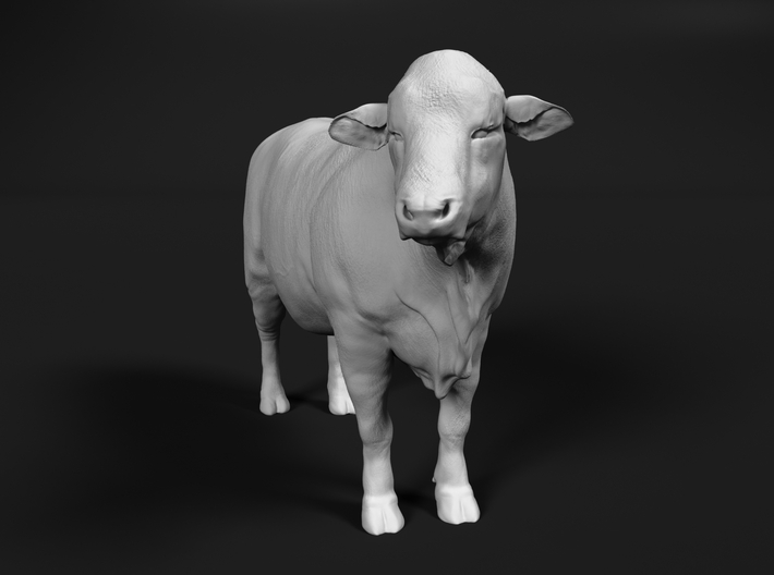 Brangus 1:45 Standing Bull 1 3d printed