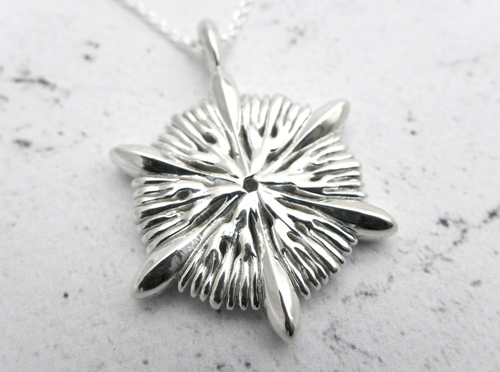 Astrocyathus pendant 3d printed Astrocyathus pendant in polished silver