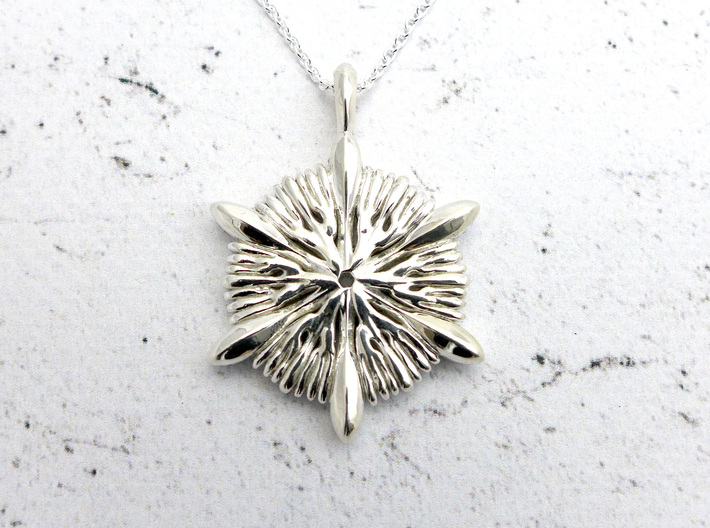 Astrocyathus pendant 3d printed Astrocyathus pendant in polished silver