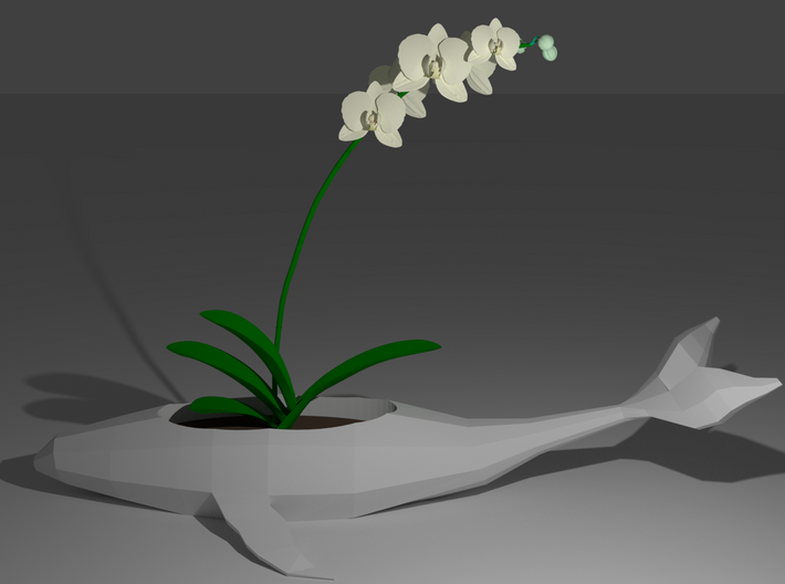 Whale Planter 3d printed 