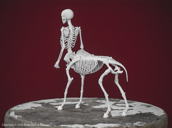  Centaur  Skeleton D6UWEY5WR by Brian Richardson