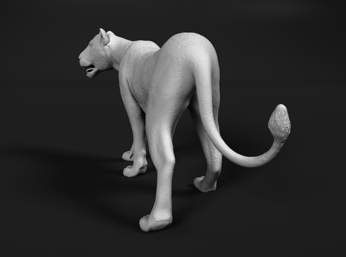 miniNature's 3D printing animals - Update May 20: Finally Hyenas and more - Page 6 710x528_21723053_12218506_1514932952