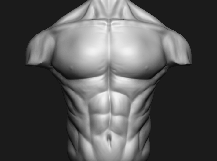 3D Male torso  3d printed front view