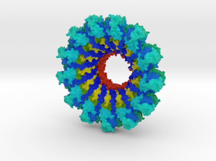 Parainfluenza Virus Nucleocapsid 3d printed