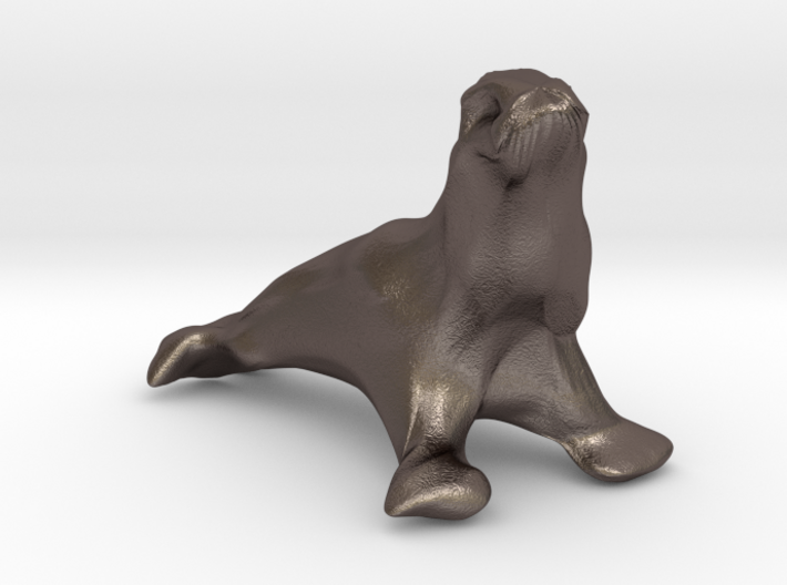 Sea Lion 3d printed