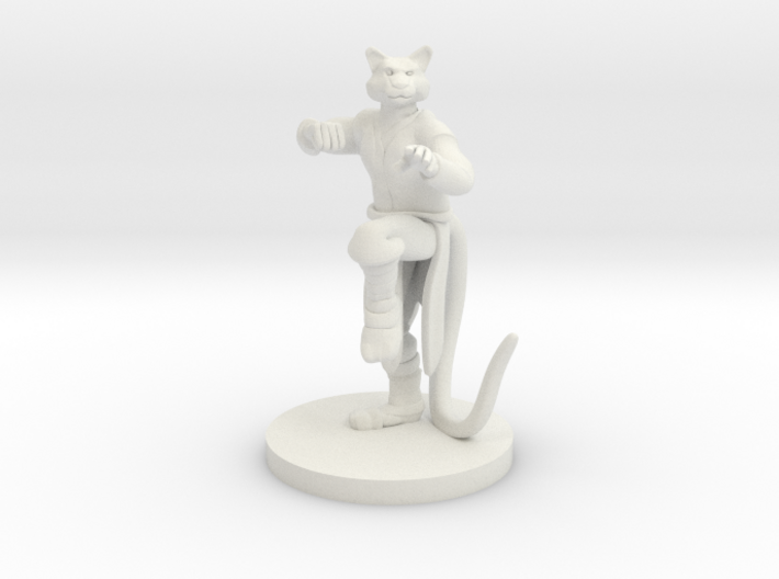 Catfolk Male Monk 3d printed