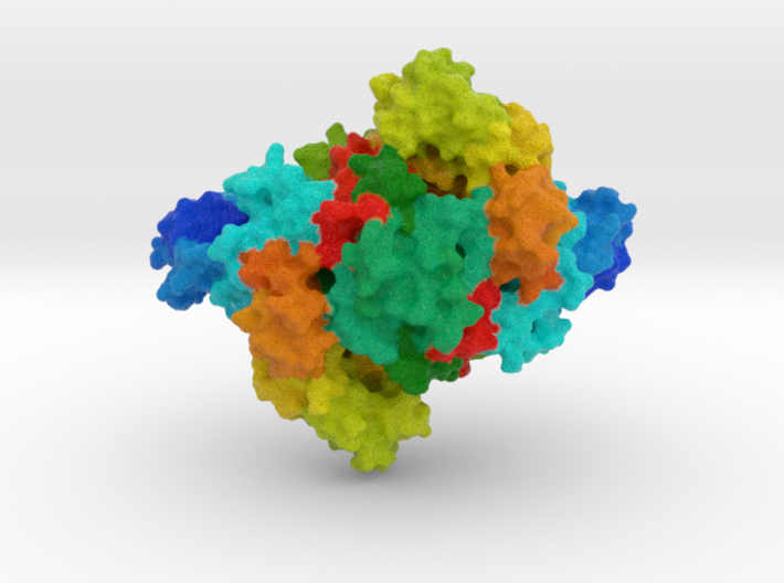 Aspartyl-tRNA Synthetase 3d printed