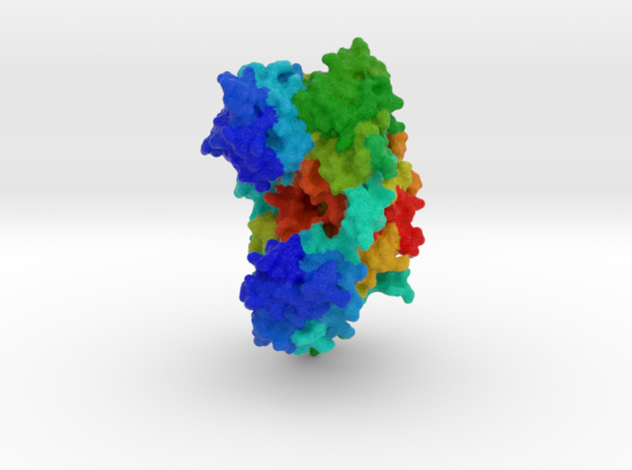 Histidyl-tRNA Synthetase 3d printed