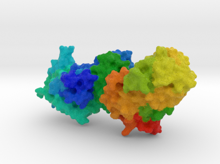Glutaminyl-tRNA Synthetase 3d printed