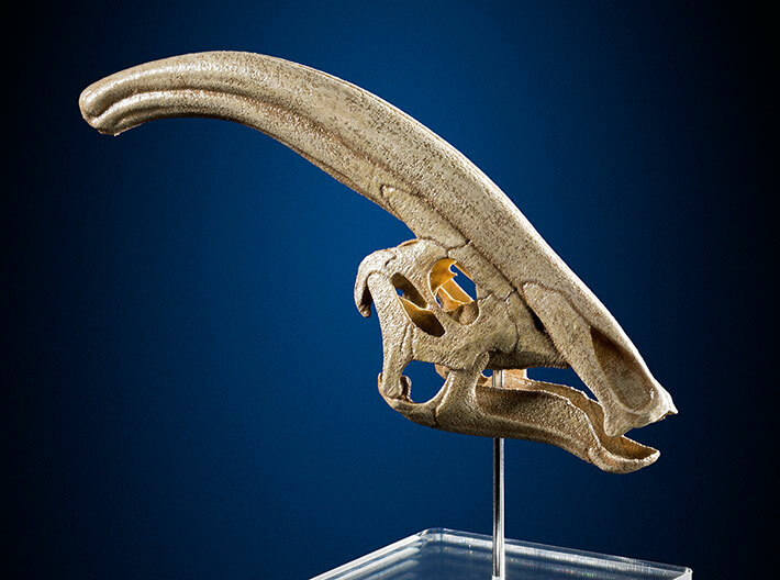 Parasaurolophus - dinosaur skull replica 3d printed Actual photo of product