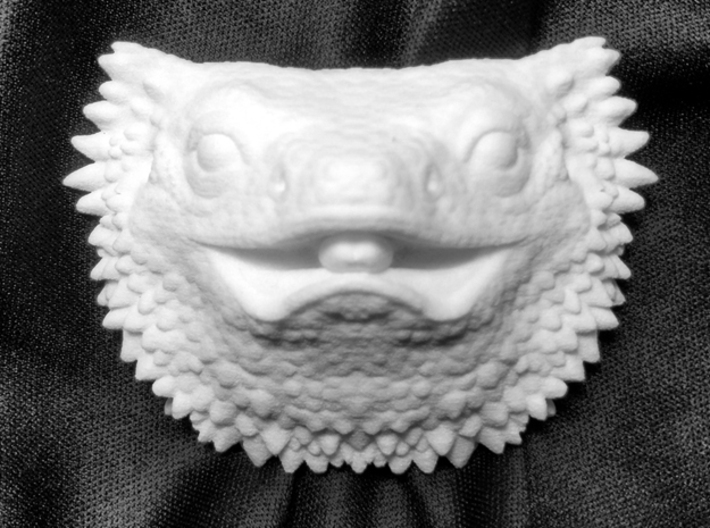 Bearded Dragon Bust | Blank for DIY Painting 3d printed Front
