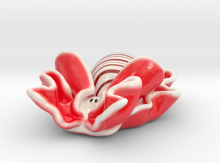 Rose petal bubble snail ( Hydatina physis ) 3d printed