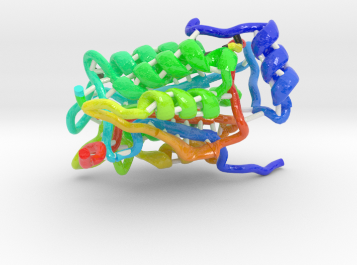 Interleukin-1β Converting Enzyme (ICE) 3d printed