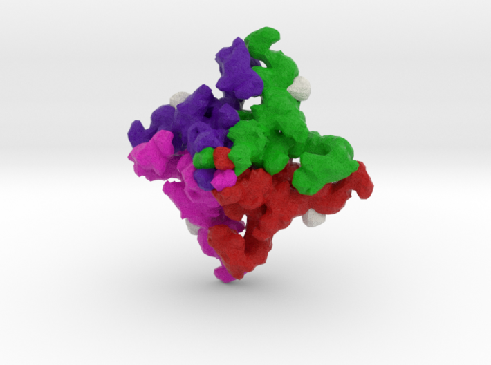 Ryanodine Receptor 3d printed