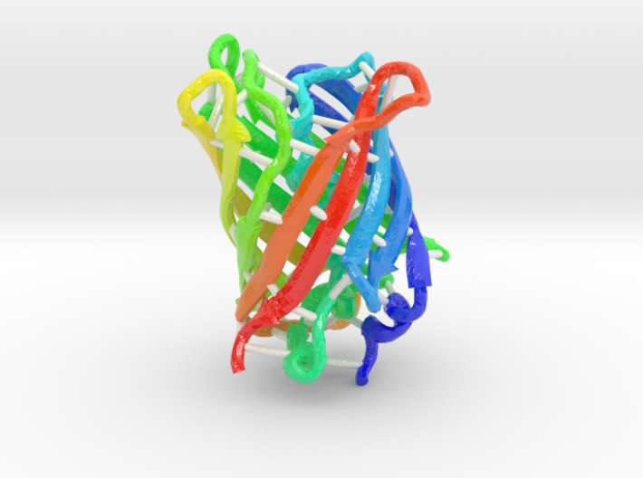 Green Fluorescent Protein (Large) 3d printed