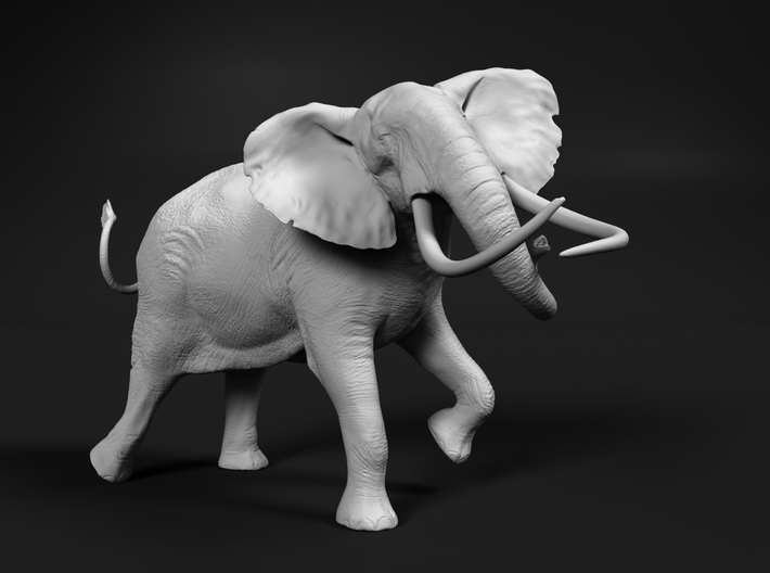 African Bush Elephant 1:9 Tusker Bull Shawu 3d printed 